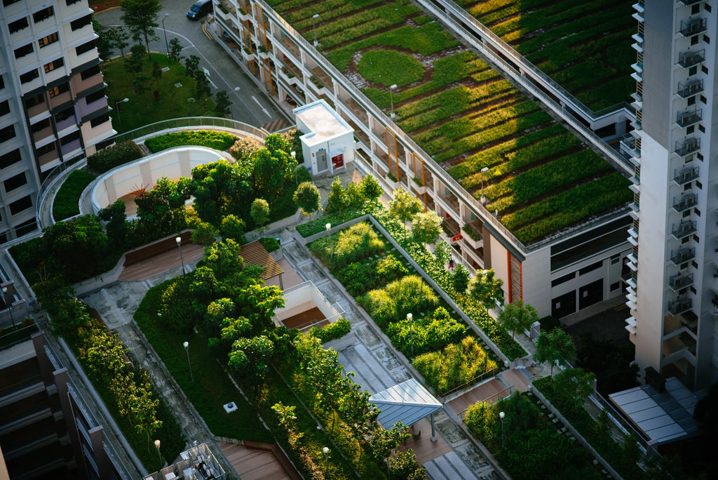 Passive Building: A Blueprint for Sustainable Living