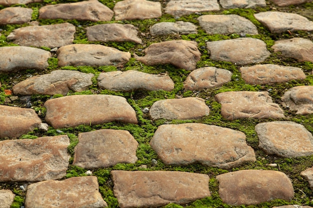 Bush hammered stone samples