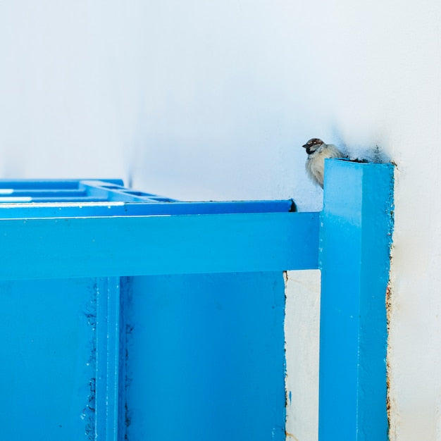 Cabinet paint samples