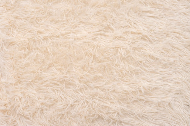 Cream carpet samples
