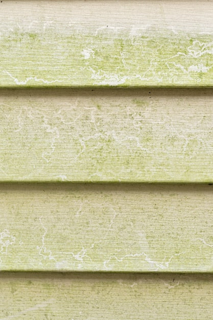 Cypress cladding samples