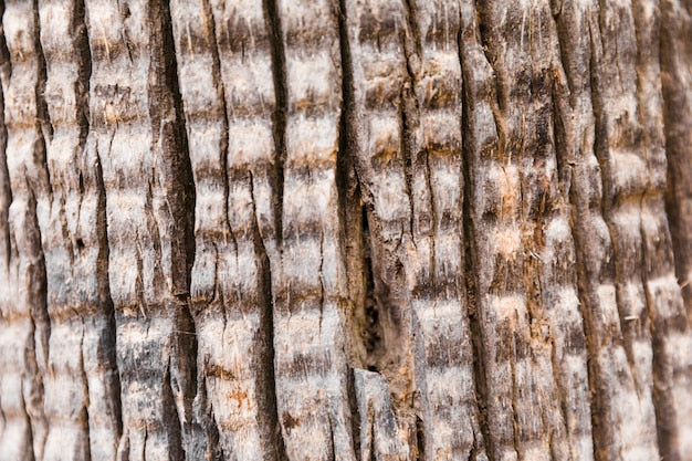 Driftwood cladding samples
