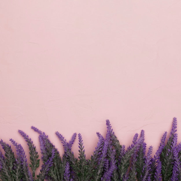 Lavender wallpaper samples