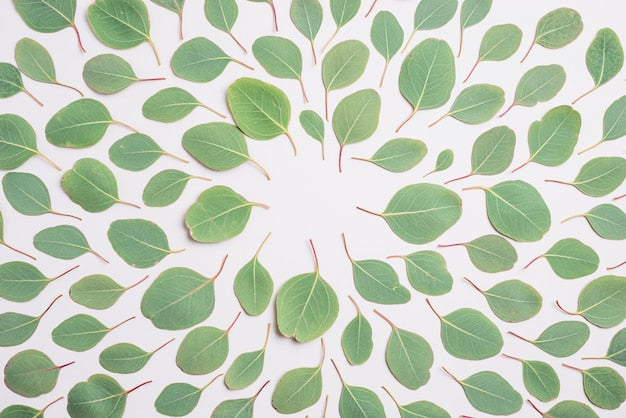 Leaf tile samples