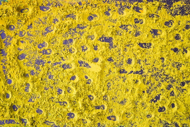 Mustard rug samples