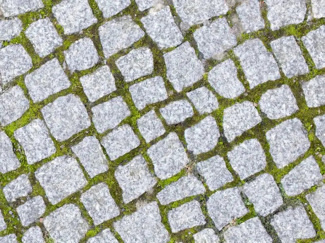 Permeable paver samples