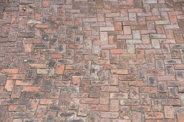 Rustic paver samples