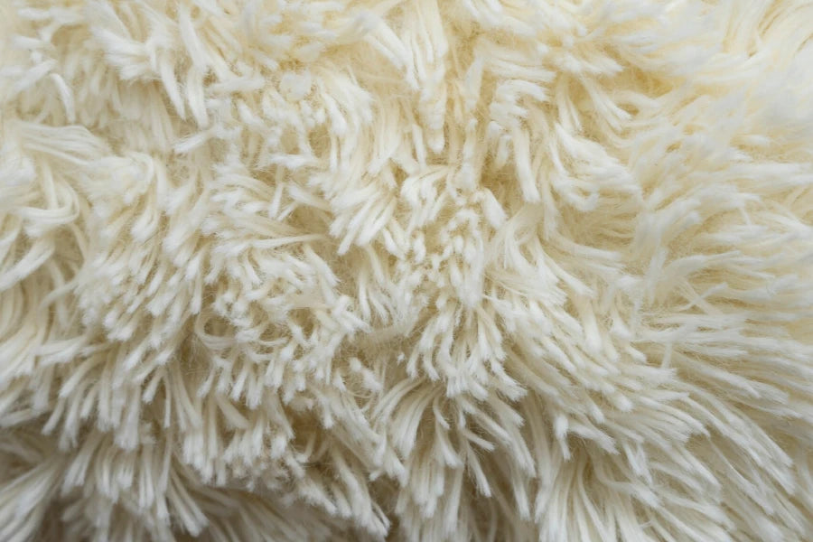 Wool blend carpet samples