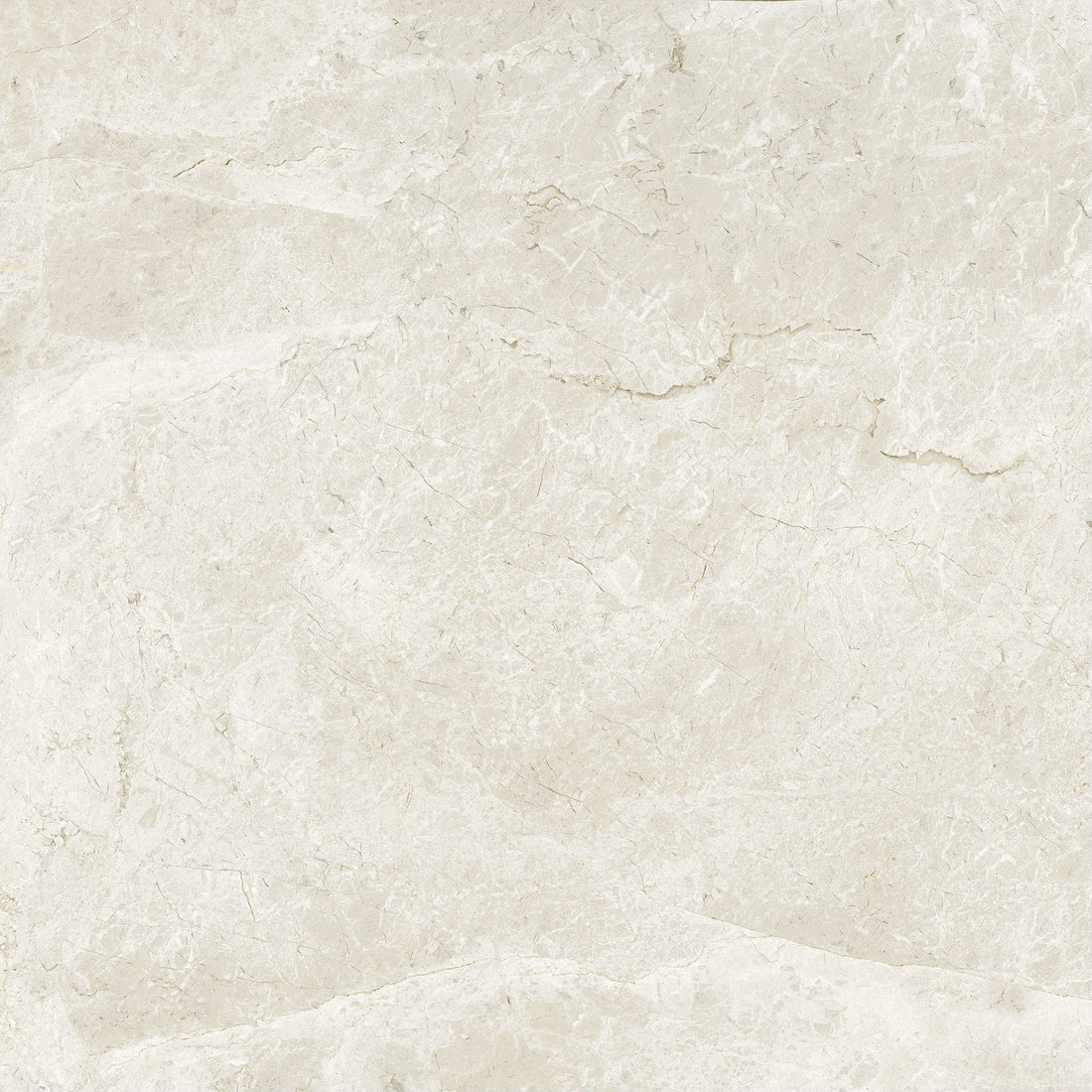 Massa Imports sample