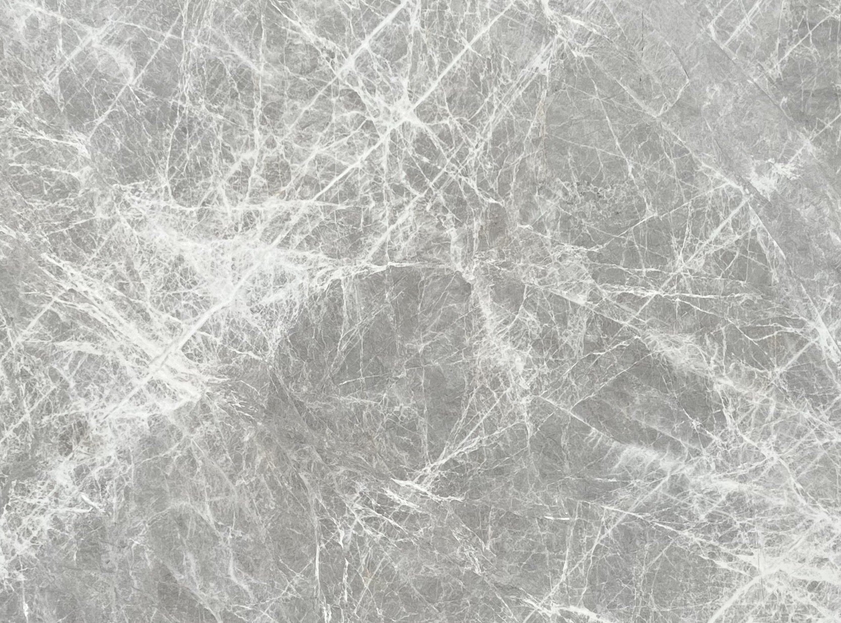 Desert Silver