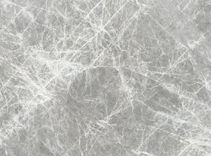 Desert Silver
