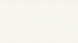 1141 Pure White