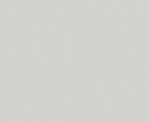 327 Oyster Grey Flint