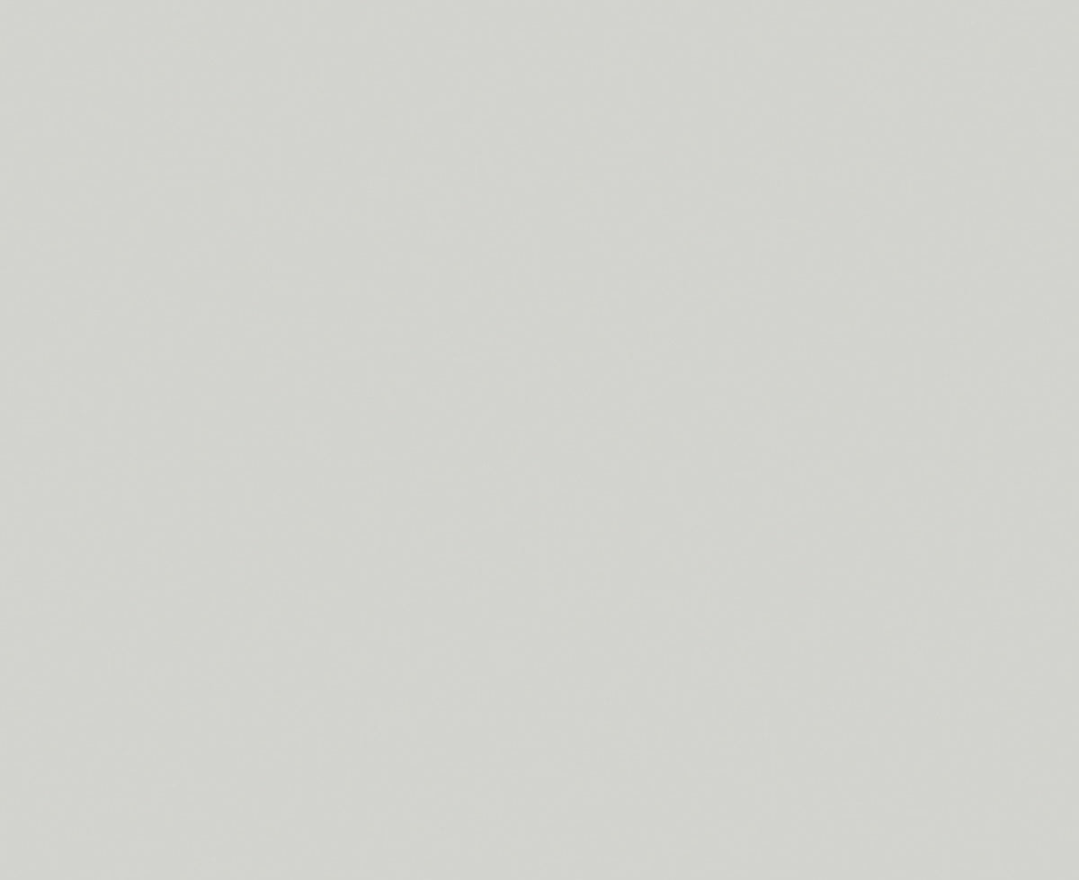 327 Oyster Grey Silk