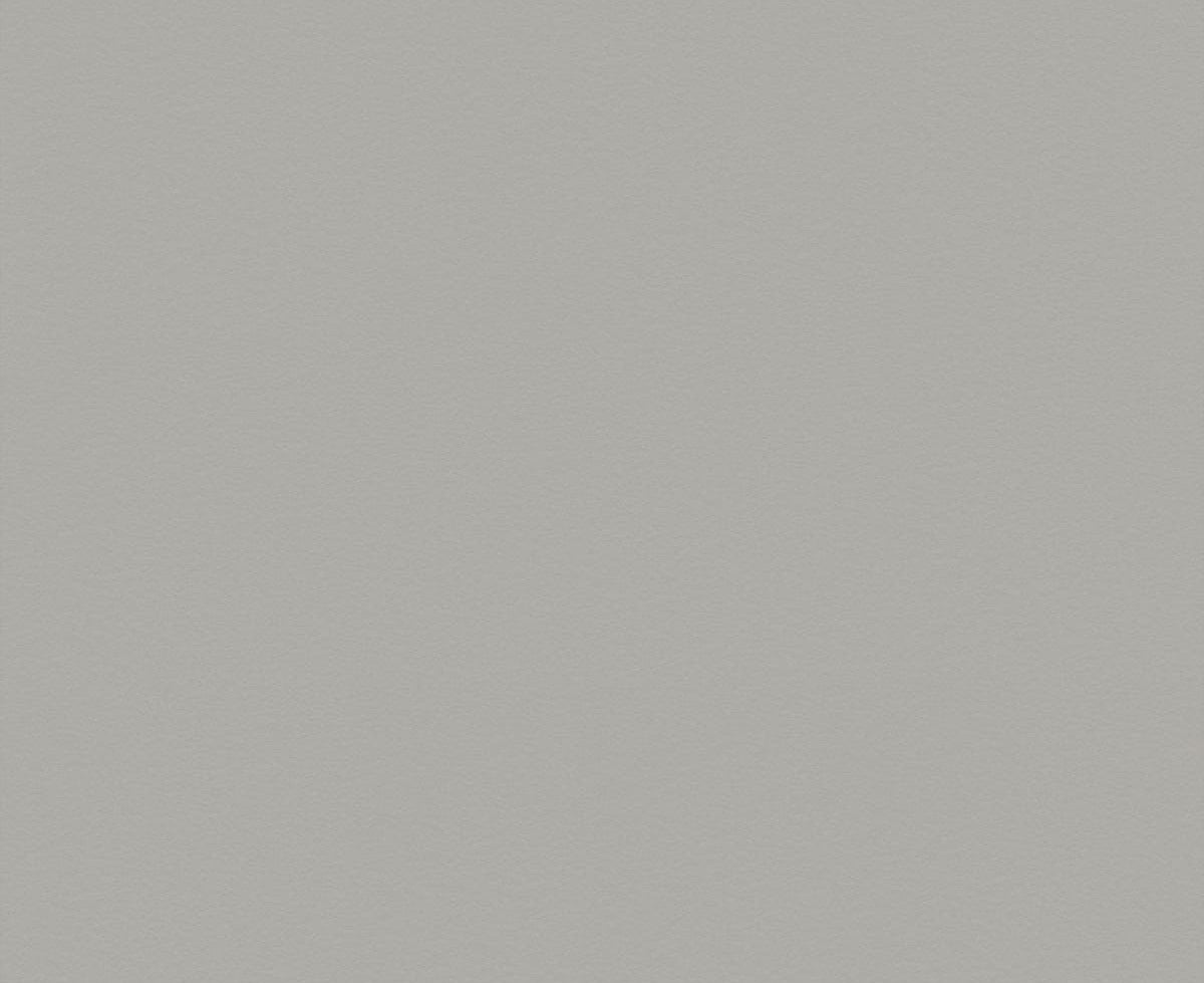 329 Pewter AbsoluteMatte
