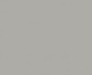 329 Pewter AbsoluteMatte