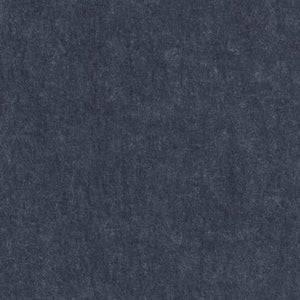 EchoPanel - Navy
