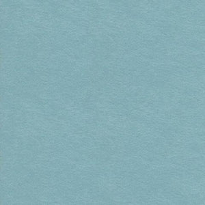 EchoPanel - Duck Egg