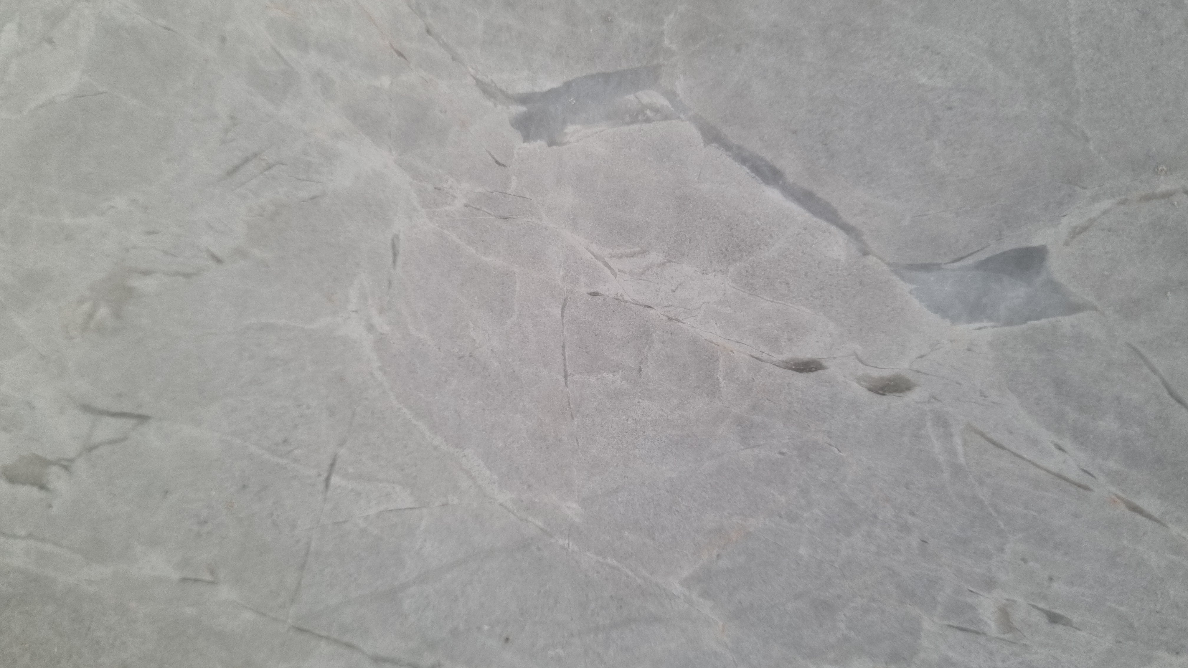 Grigio Chiacco