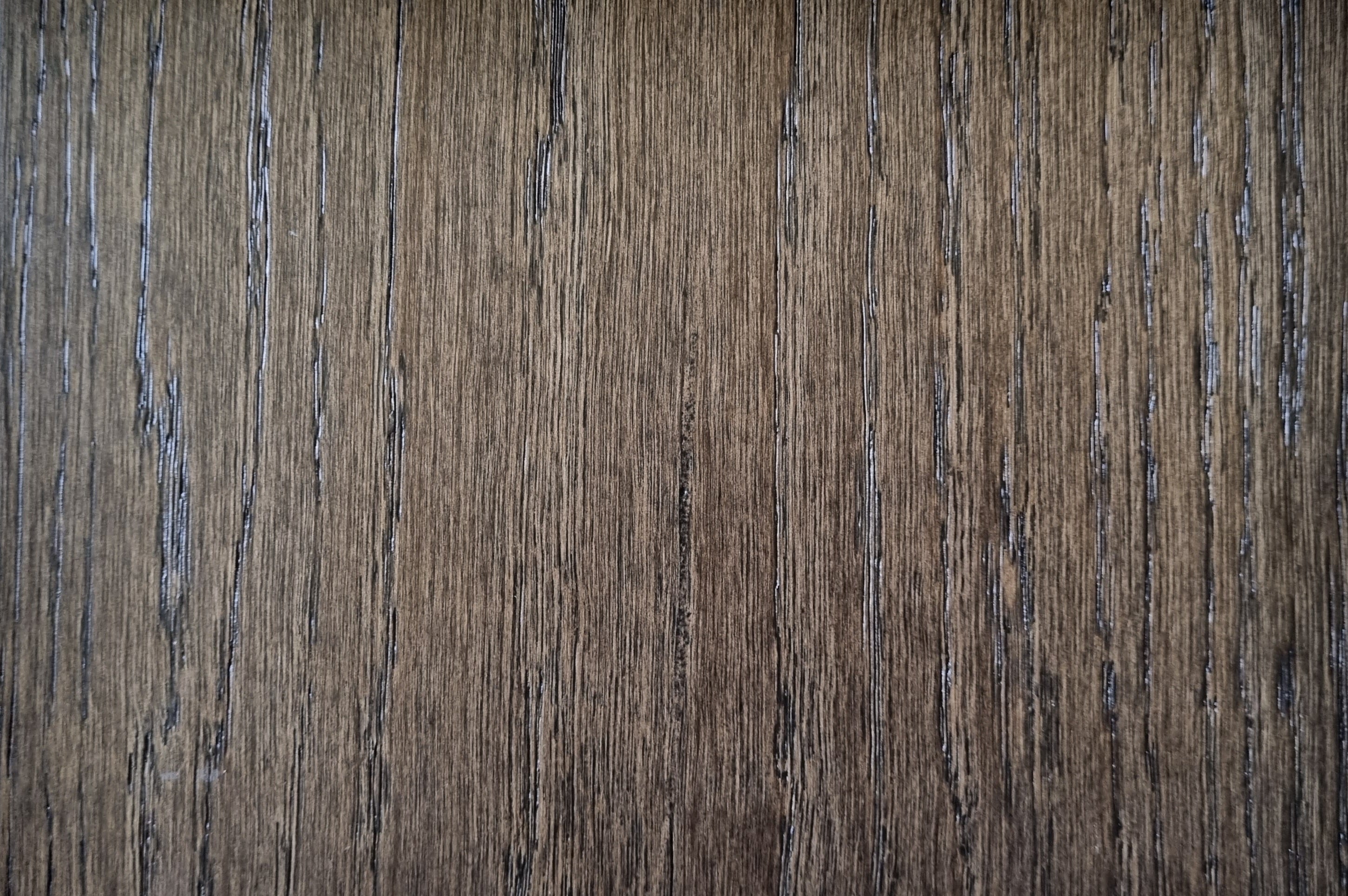Tolstoy Timber sample