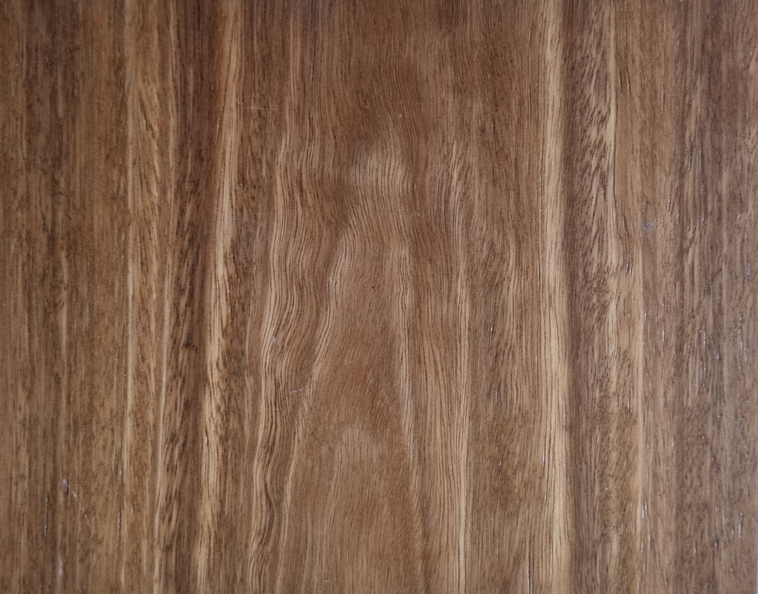 Heatwood Native Spotted Gum Timber sample