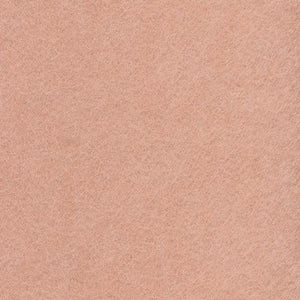 EchoPanel - Blush