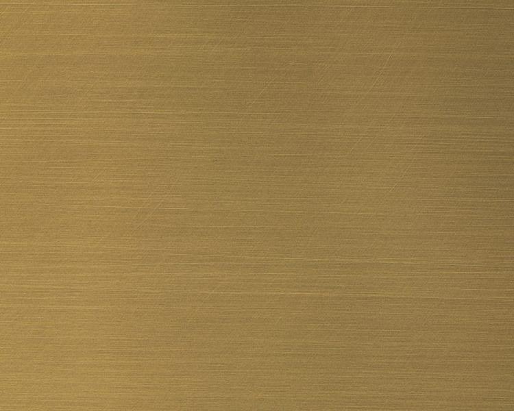 310 Antique Brushed Brass