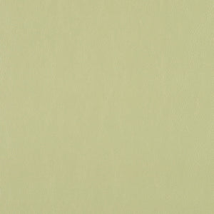 Lariat - 036 Cucumber