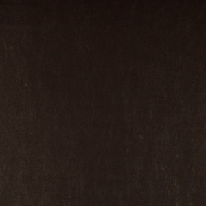 Article - 031 Truffle