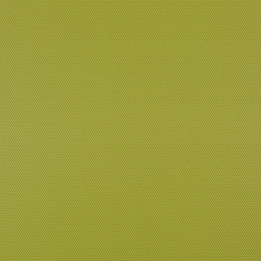 Micro - 011 Tomatillo