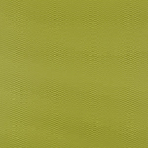 Micro - 011 Tomatillo