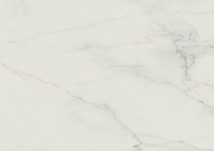 501 Snowdrift
