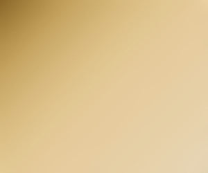 803 Polished Solid Brass