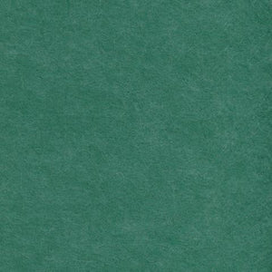 EchoPanel - Jade