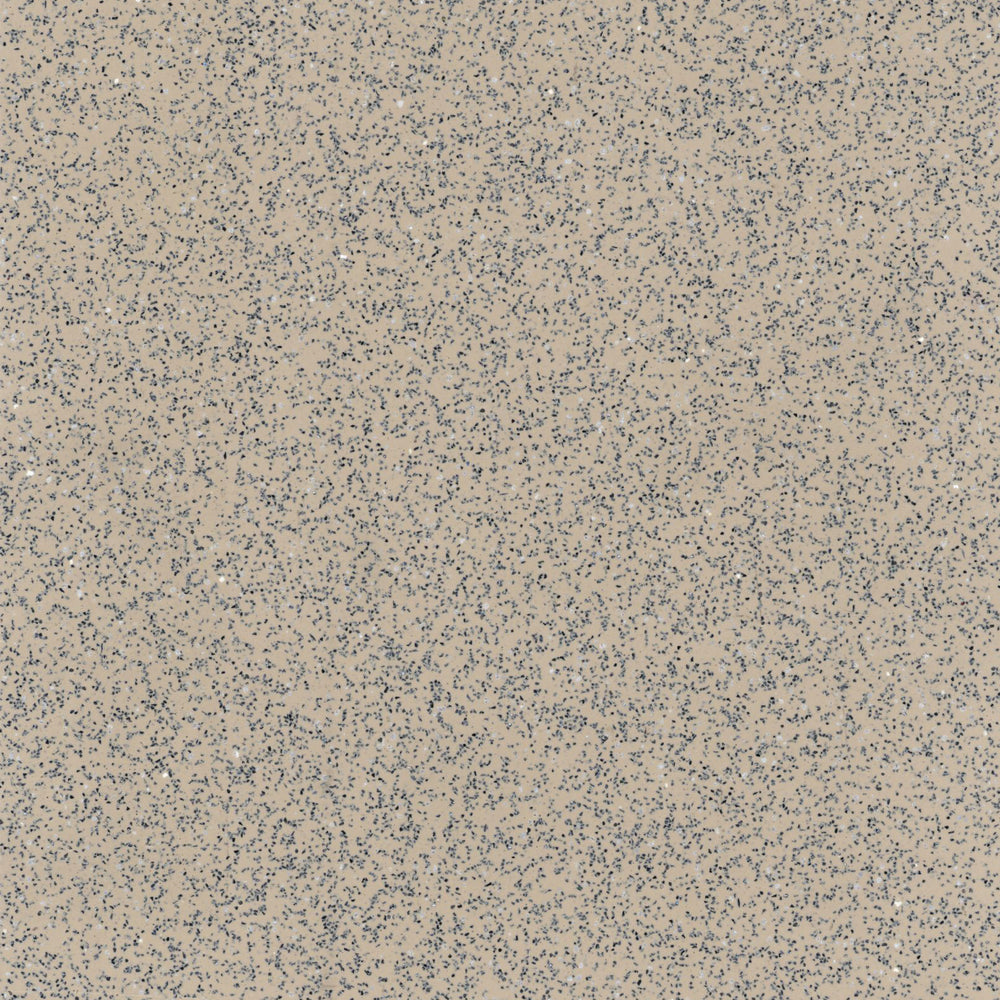 Safeguard - Beige R10