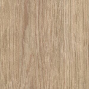 American Oak - Crown