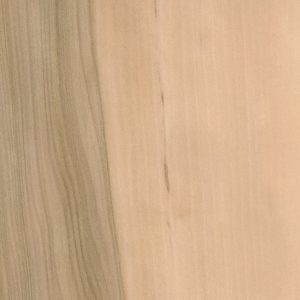 American Red Gum