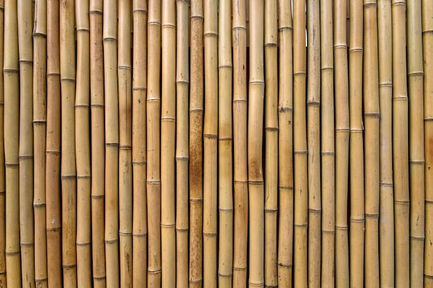 Bamboo tile sample