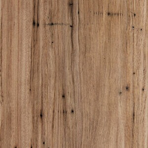 Blackbutt - Natural Feature Grade Veneer sample