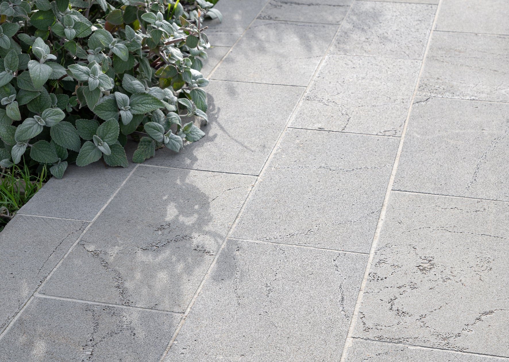 Tiliqua Bluestone Pavers