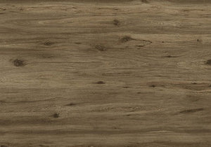Ascale - Boreal Umber