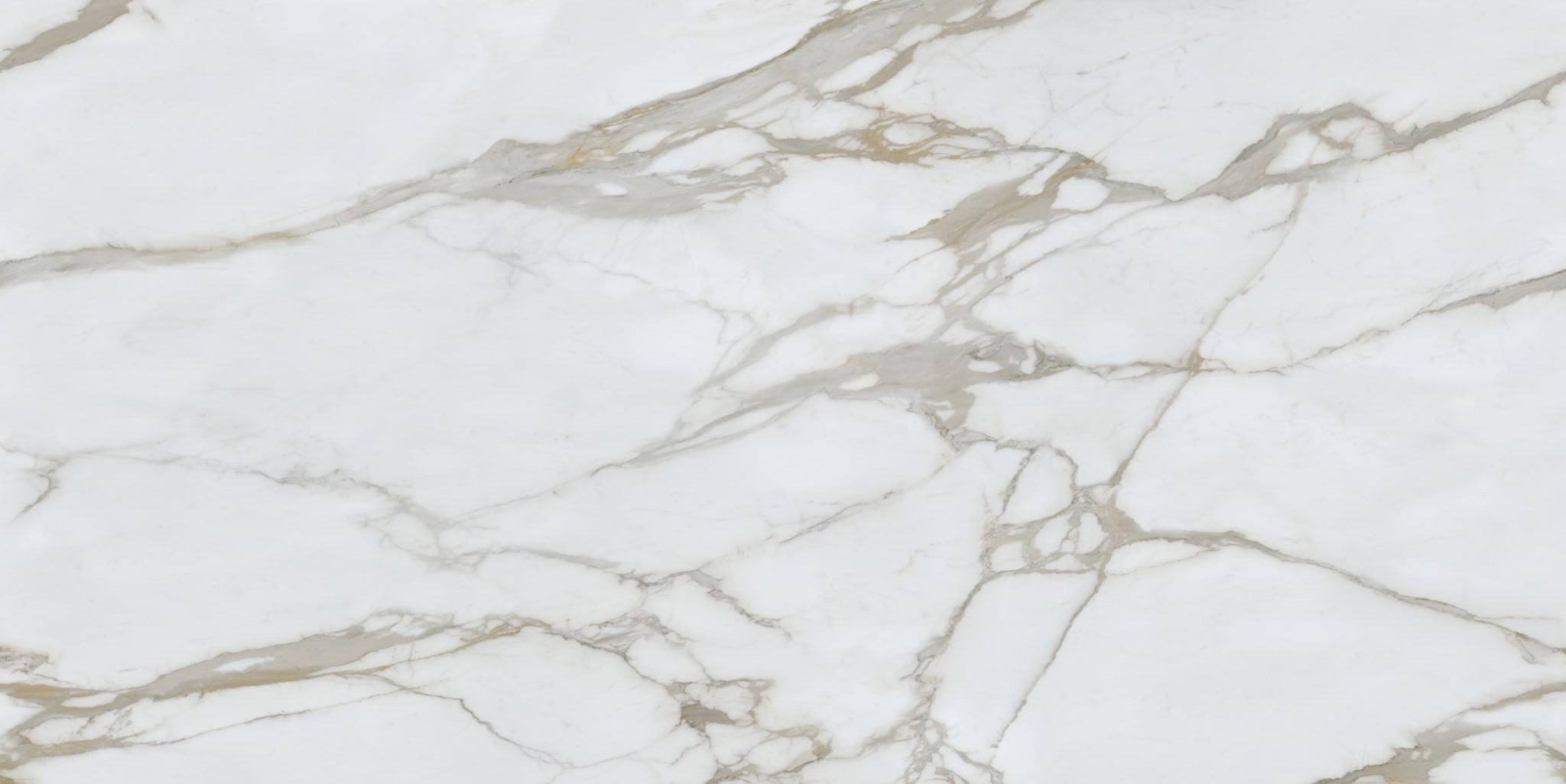 Atlas Plan - Calacatta Gold