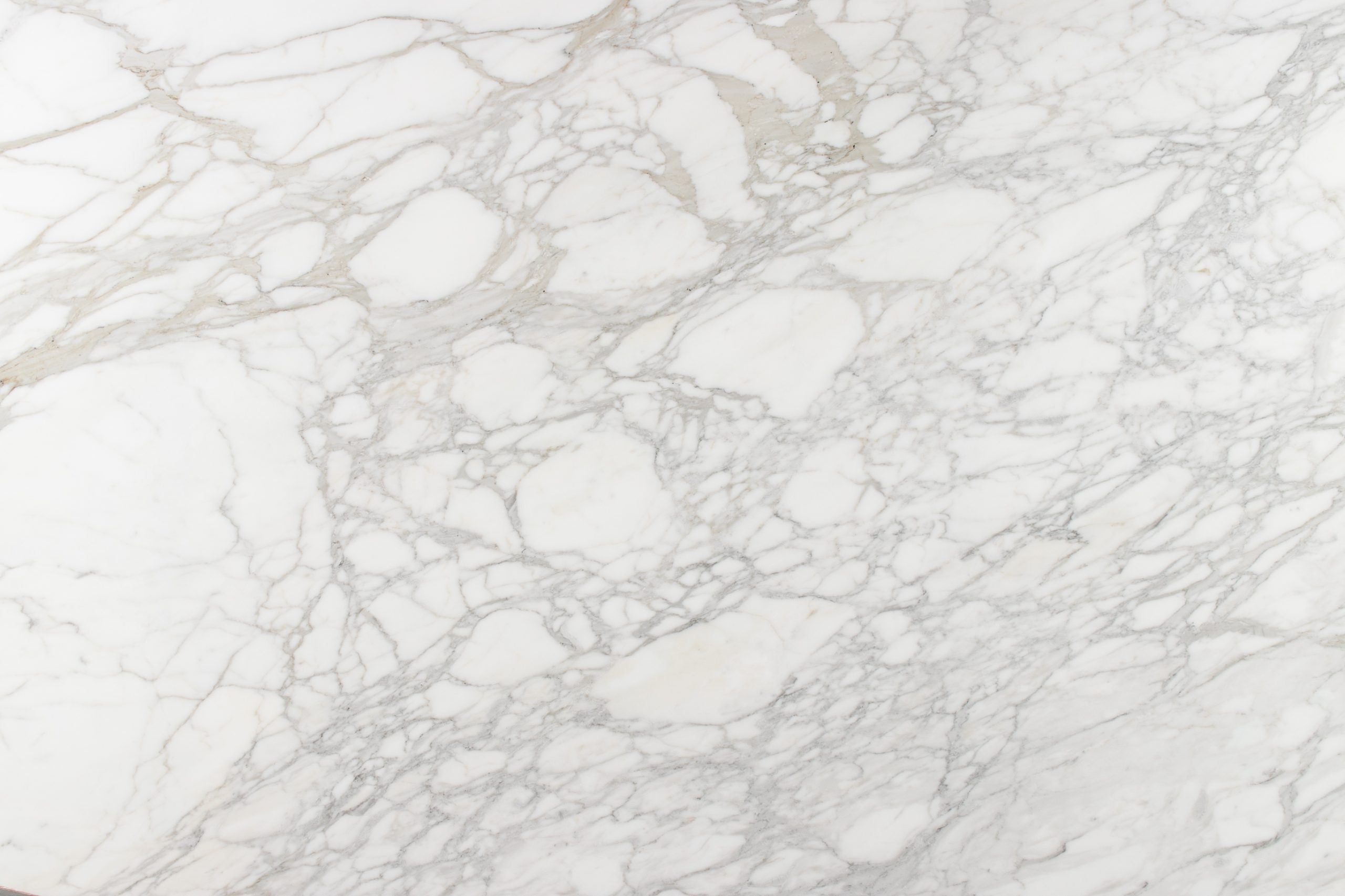 Calacatta Borghini