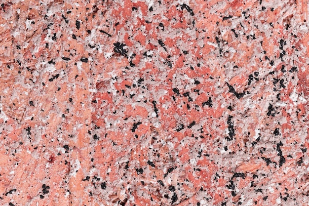 Coral stone flooring sample