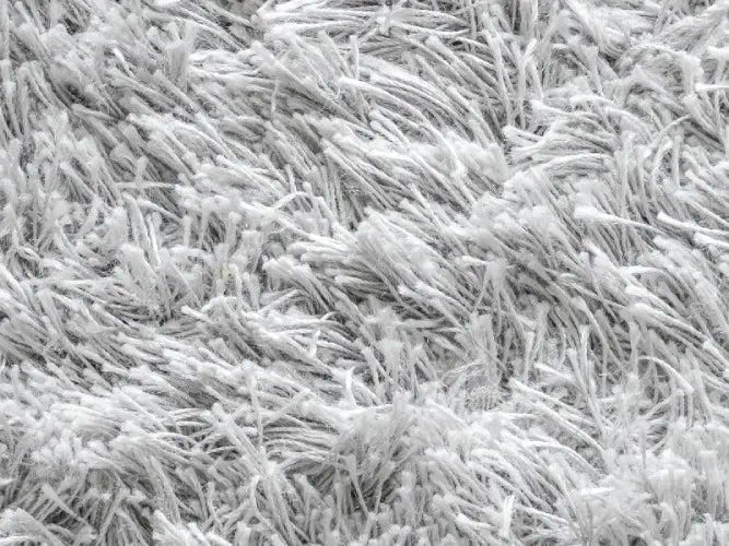Cut pile carpet sample