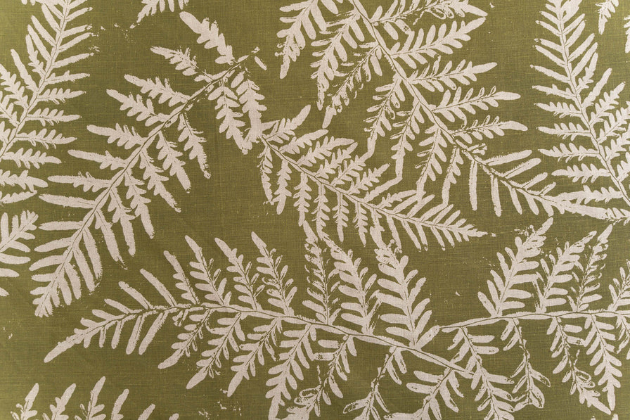 Bracken in Bushleaf