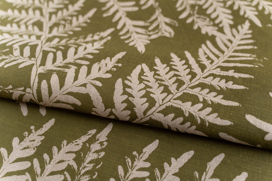 Bracken in Bushleaf