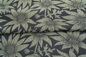 Flannel Flower in Coal on Spinifex Heavyweight