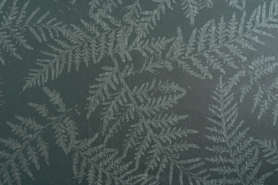 Bracken in Rainforest on Pacific