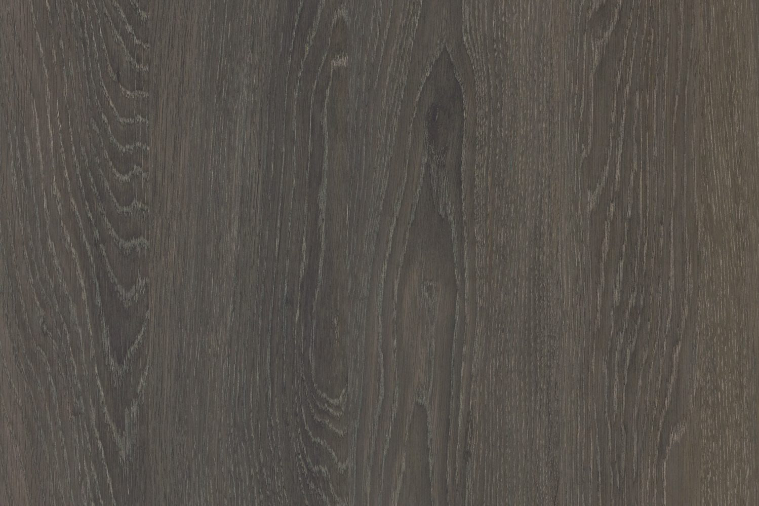 Evenex - Burnished Oak